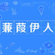 蒹葭伊人 蒹葭伊人