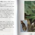 盾葉鬼臼