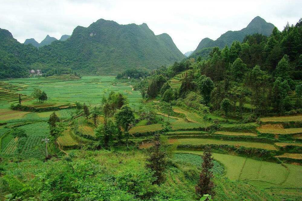 乍龍村 乍龍村