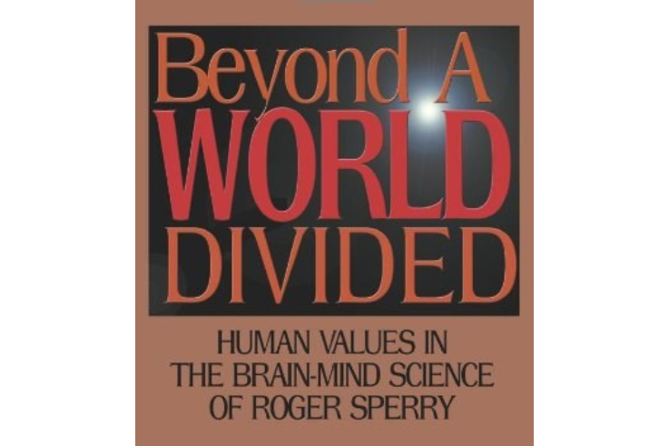 Beyond a World Divided Beyond a World Divided