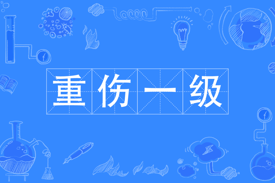 重傷一級 重傷一級