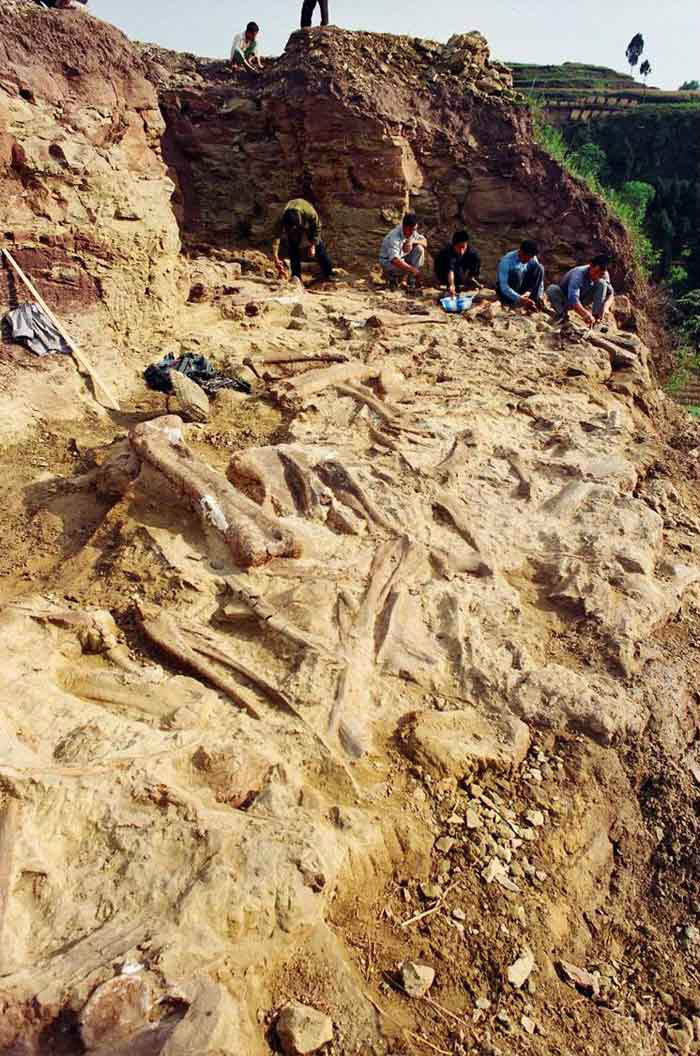 復興青龍山恐龍化石群遺址