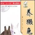 養獺兔 養獺兔
