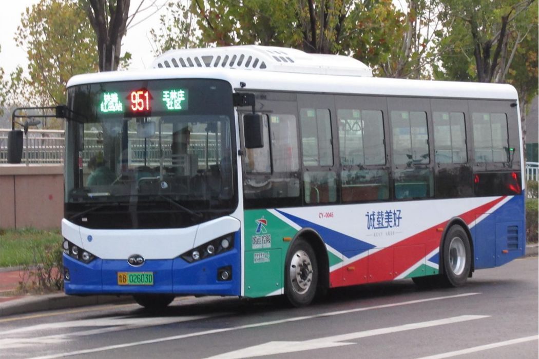 青島公交951路 青島公交951路