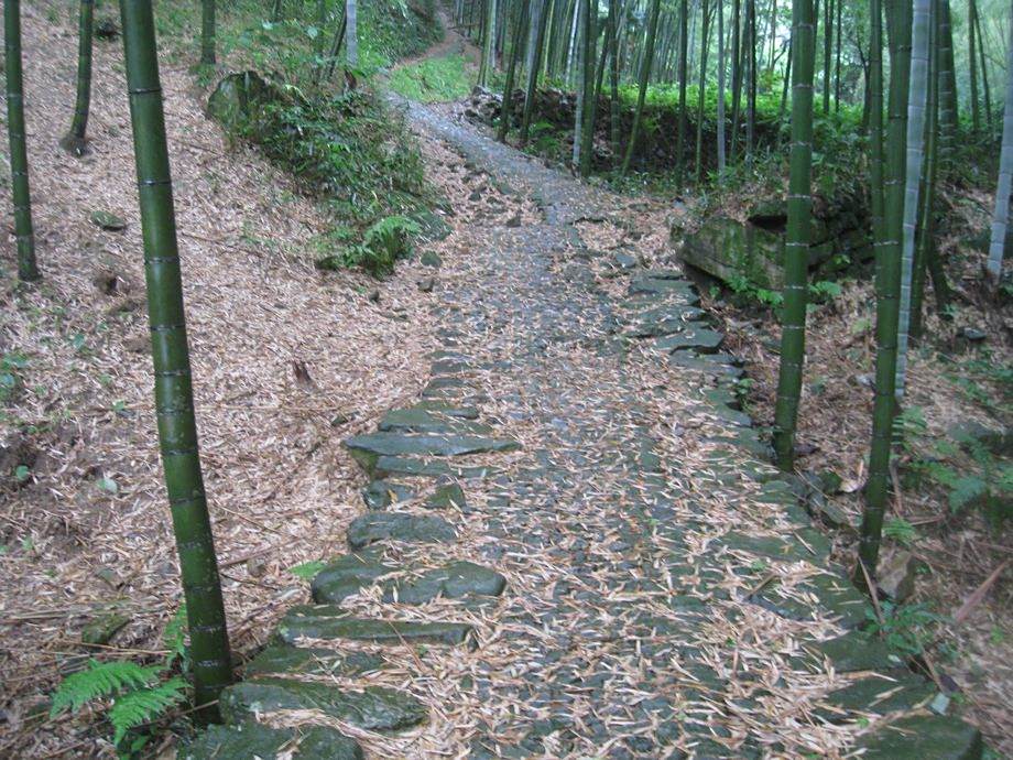 漲家岙古道 漲家岙古道