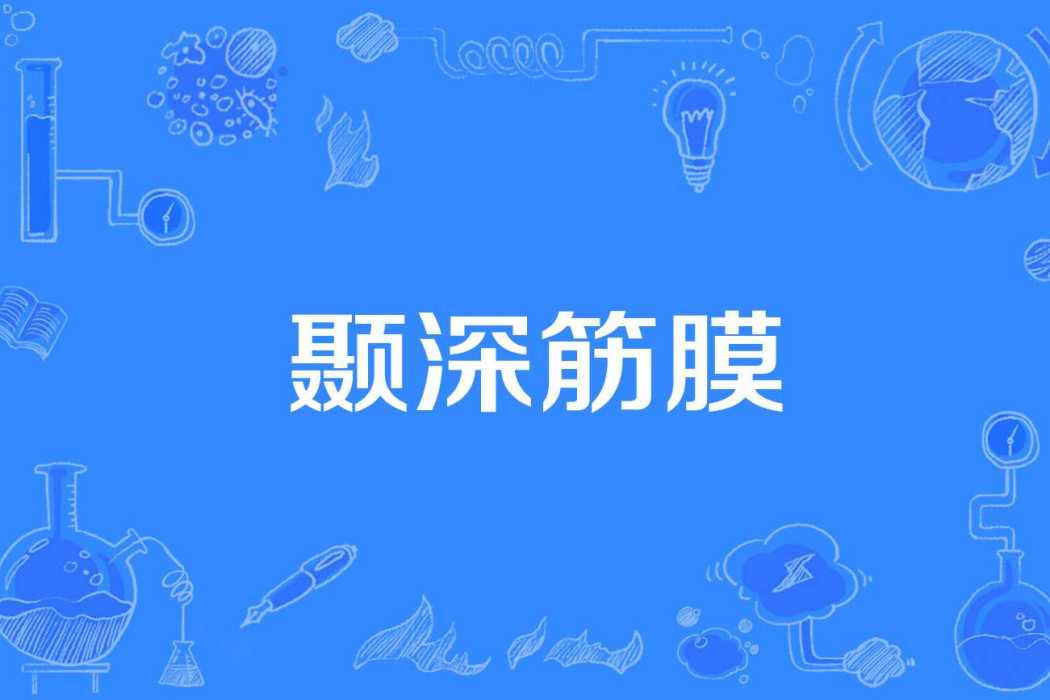 顳深筋膜 顳深筋膜