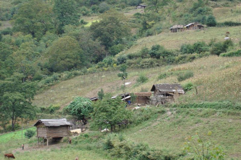 迪仕村 迪仕村