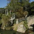 園坂村 園坂村