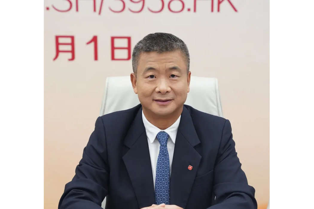 舒宏(東方證券副總裁、財務總監) 舒宏(東方證券副總裁、財務總監)