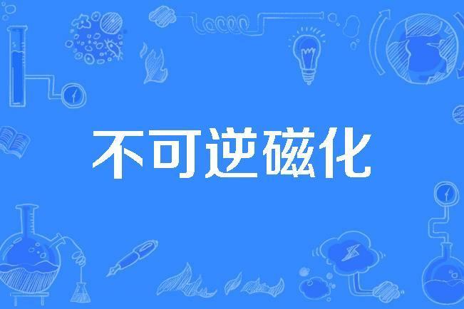 不可逆磁化
