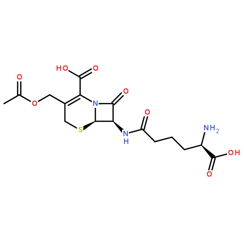 頭孢菌素C