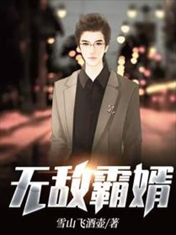 無敵霸婿 無敵霸婿