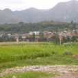 塘上村(雲南省昭通巧家縣藥山鎮塘上村) 塘上村(雲南省昭通巧家縣藥山鎮塘上村)