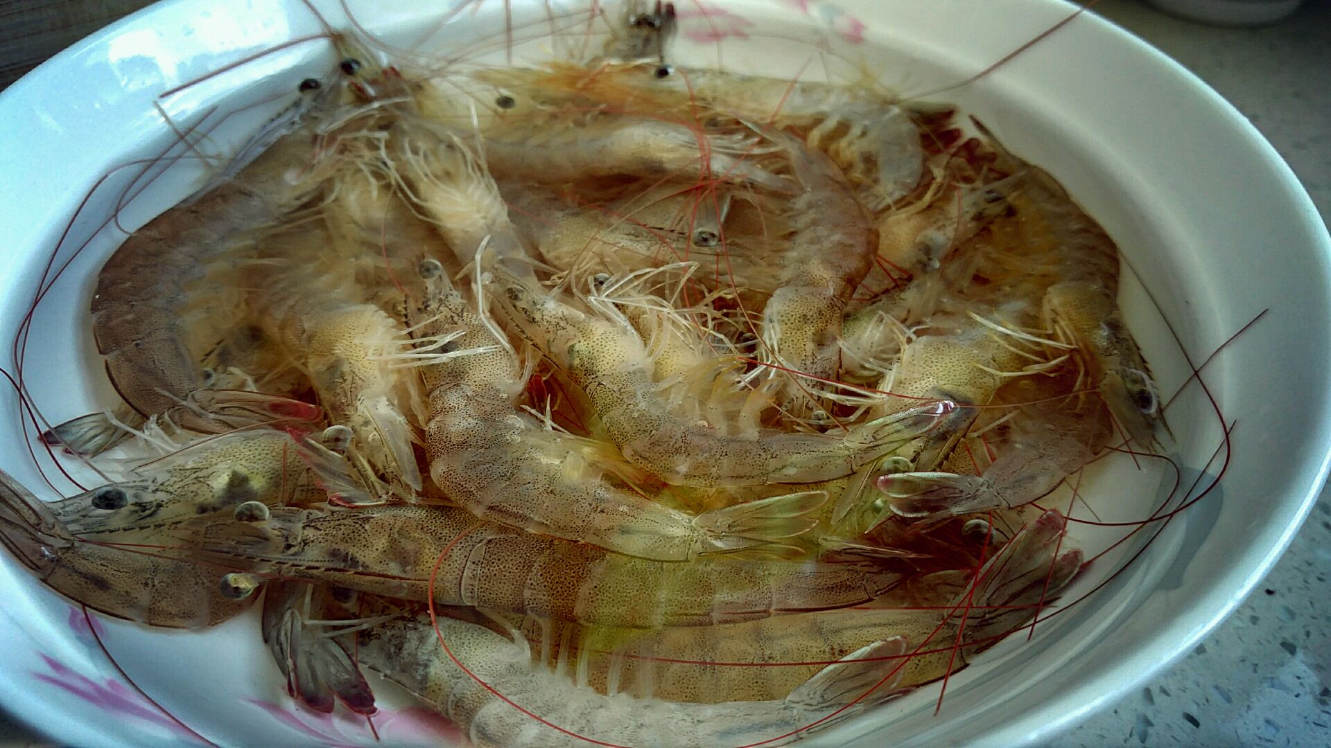 清蒸基圍蝦