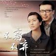 不離不棄(2009年劉娟導演電視劇)