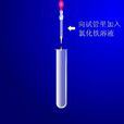 離子檢驗 離子檢驗