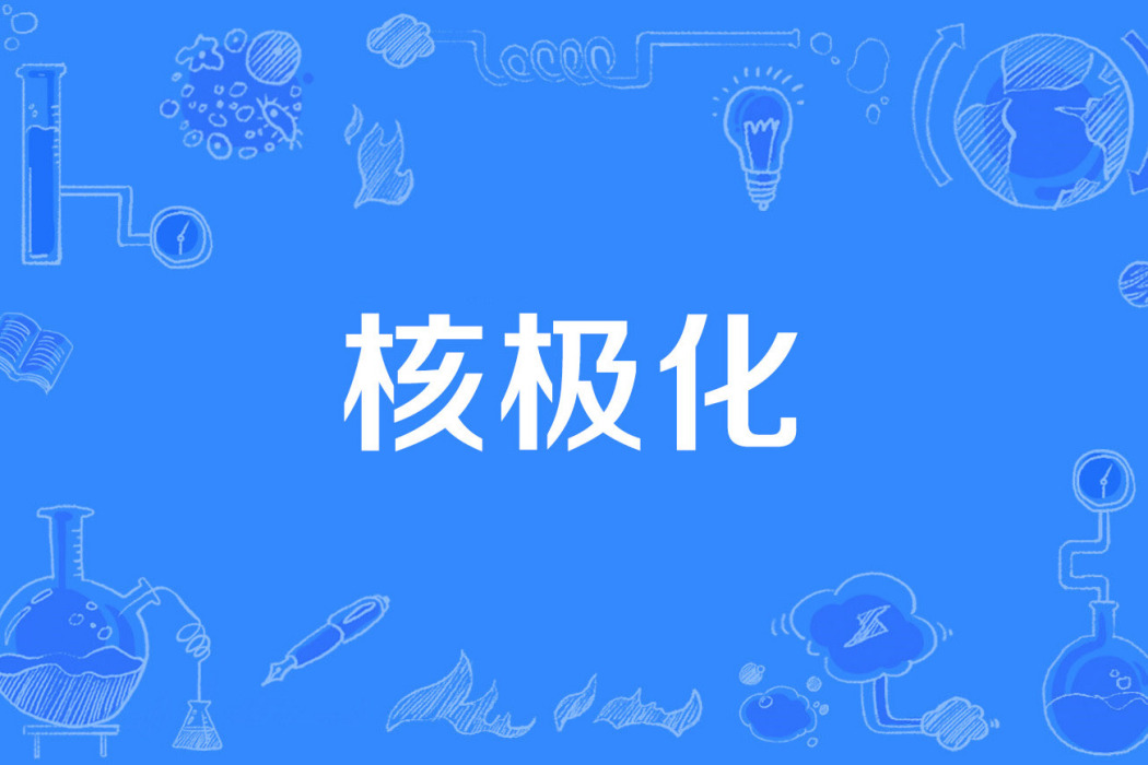 核極化 核極化