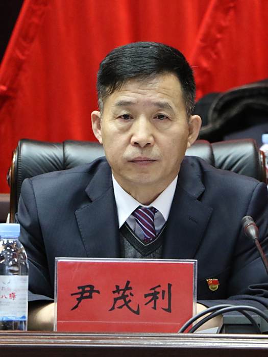 尹茂利