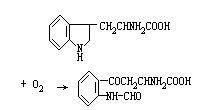 色氨酸加氧酶