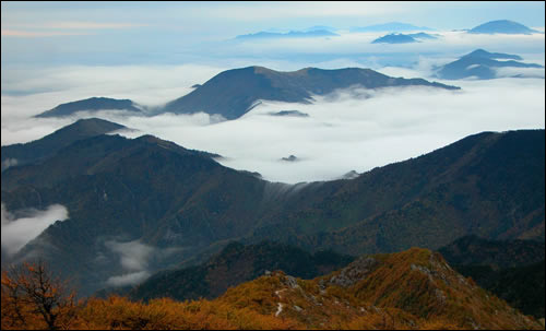 陝西太白山國家級自然保護區(陝西太白山自然保護區)