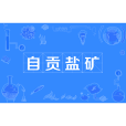 自貢鹽礦 自貢鹽礦