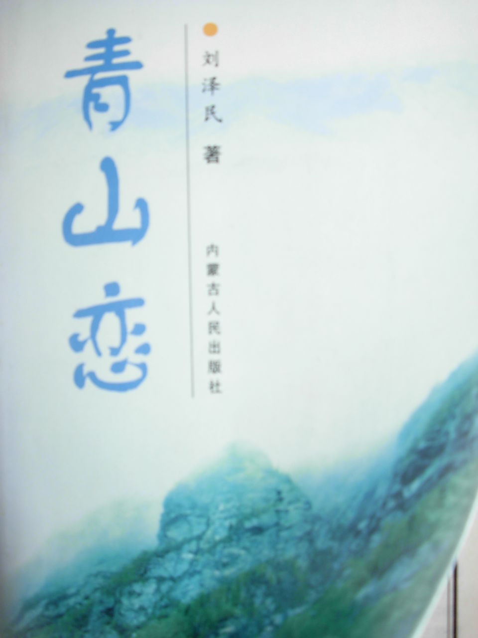 青山戀 小說封面
