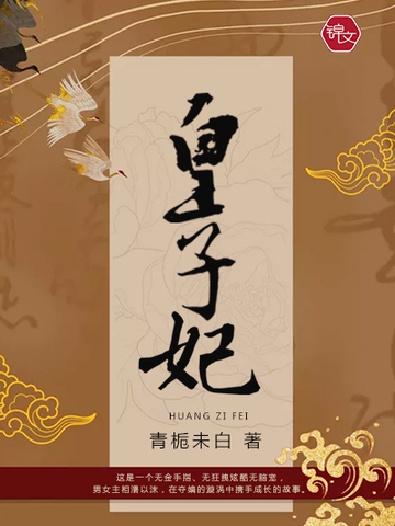 皇子妃 皇子妃