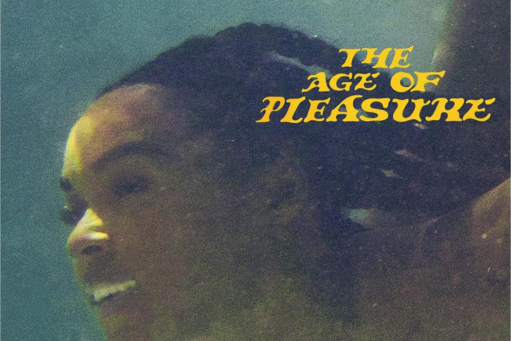 The Age Of Pleasure The Age Of Pleasure