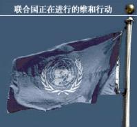 聯合國正在進行的維和行動