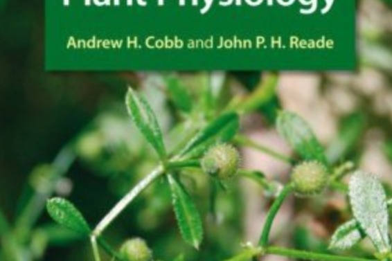 Herbicides and Plant Physiology Herbicides and Plant Physiology
