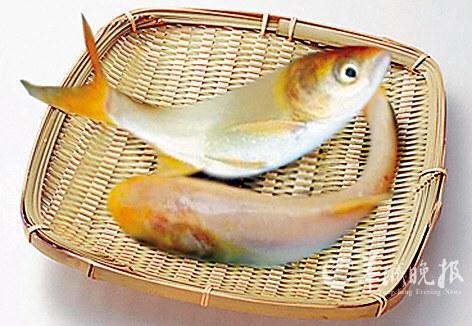 金大頭 金大頭