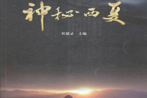 神秘西夏