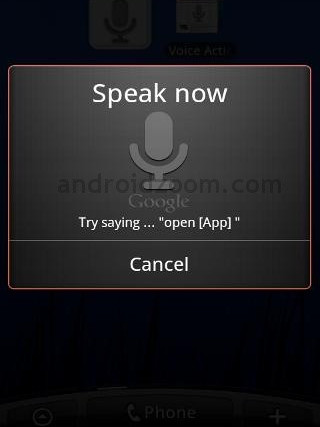 Voice Action