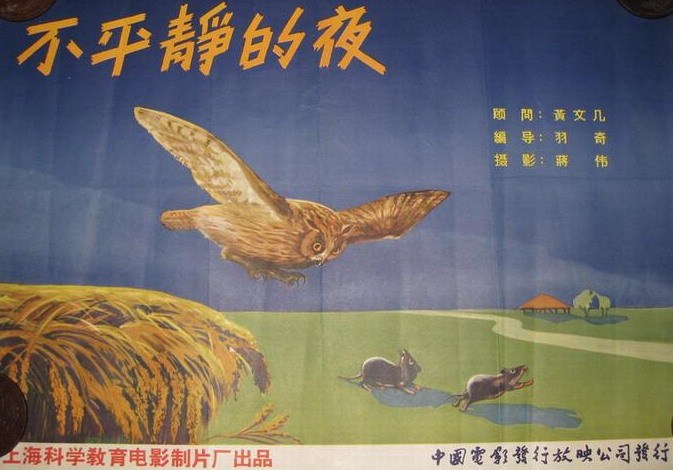 不平靜的夜 不平靜的夜