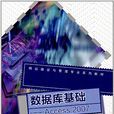 資料庫基礎-Access 2007 資料庫基礎-Access 2007