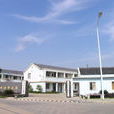 大樹村(浙江省寧波市北侖區新碶街道下轄村) 大樹村(浙江省寧波市北侖區新碶街道下轄村)