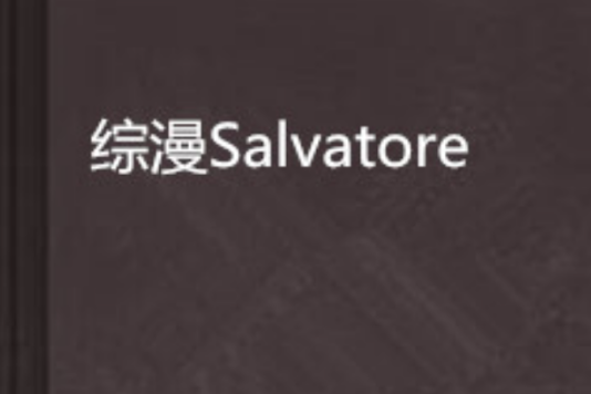 綜漫Salvatore 綜漫Salvatore