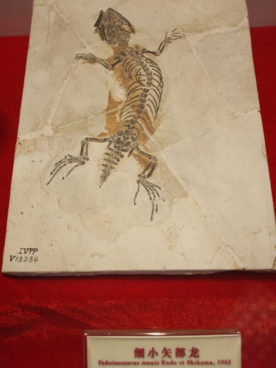 細小矢部龍