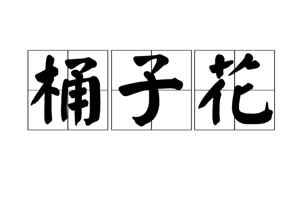 桶子花 桶子花