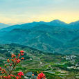 古羊山村 古羊山村