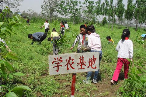 學農 學農