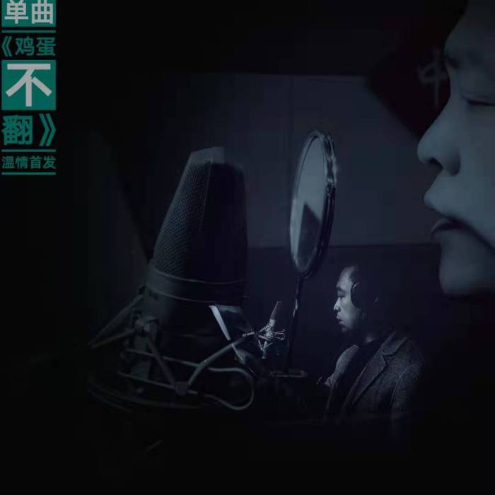 雞蛋不翻(劉津宏演唱歌曲) 雞蛋不翻(劉津宏演唱歌曲)