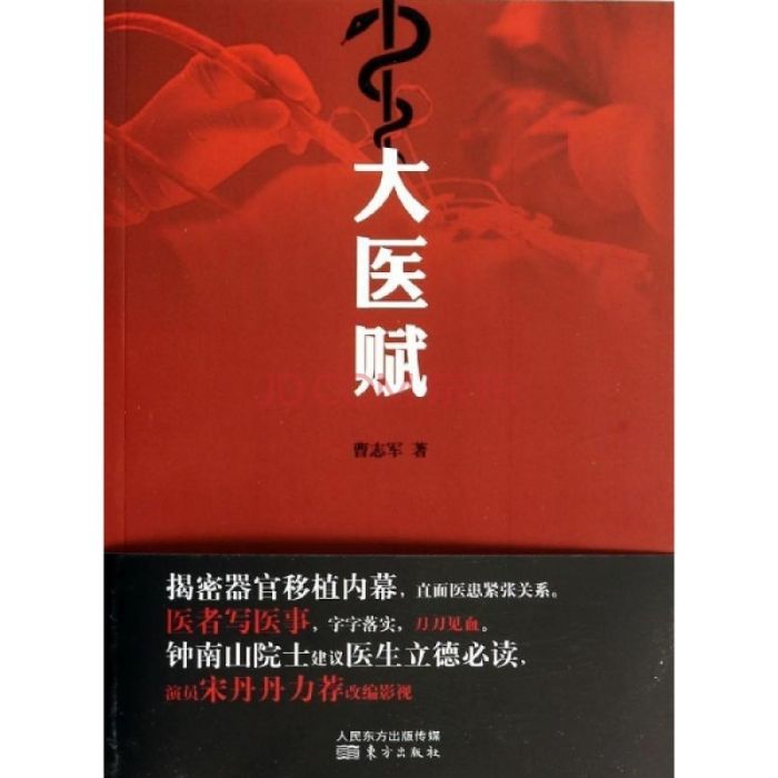 大醫賦 大醫賦