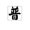 普 普