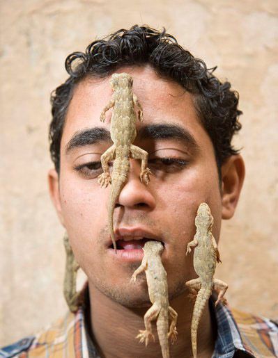 蜥蜴男孩 蜥蜴男孩