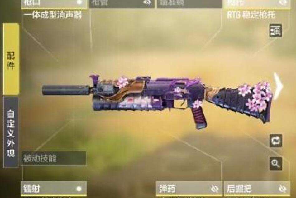 PP19 PP19