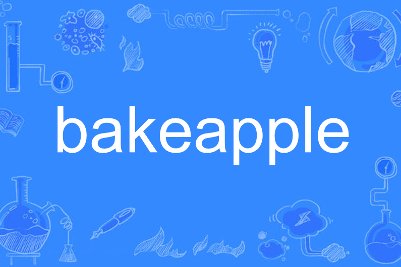 bakeapple bakeapple