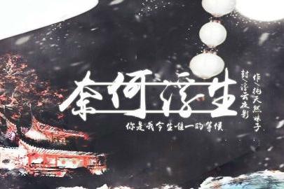 奈何浮生 奈何浮生