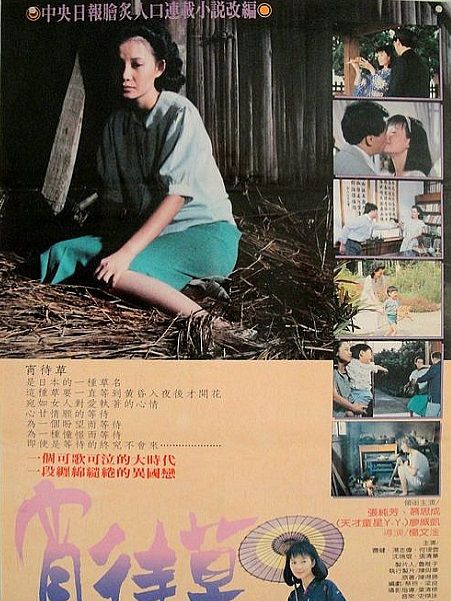 宵待草(1987年楊文淦執導的電影) 宵待草(1987年楊文淦執導的電影)