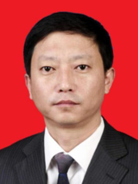 張軍(陝西省西安市蓮湖區桃園開發區黨工委副書記)